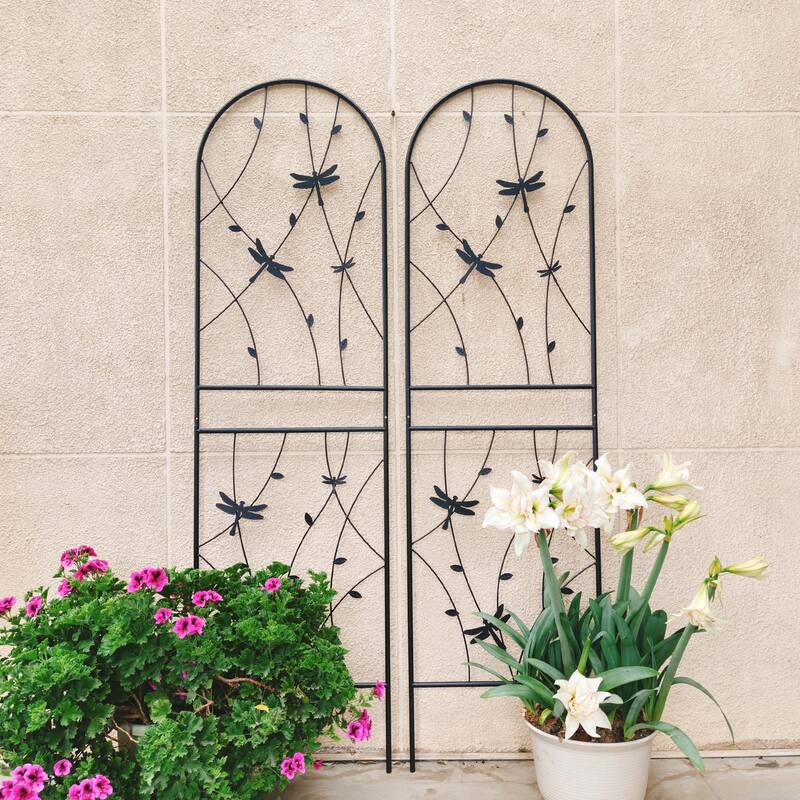 2 Pack Metal Garden Trellis 71in x 19.7in Rustproof Trellis