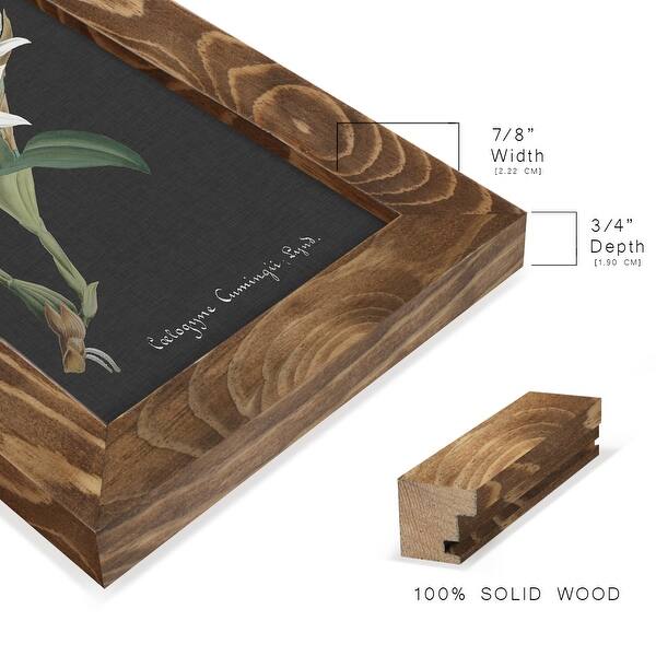 dimension image slide 6 of 11, Orchid on Slate III -Framed Print w/glass-Cherry Red