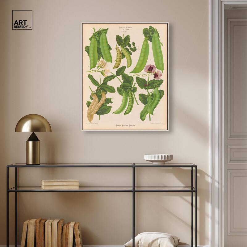 Podded Peas from Benary 1876 Canvas by Art Remedy