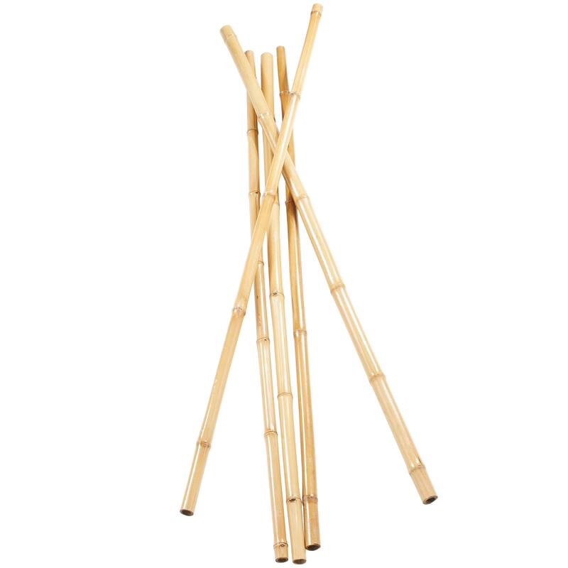 Dried Hogla Babala Bamboo Natural Foliage Collection - Multiple Colors