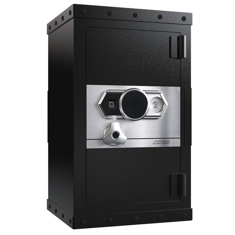 Roomfitters 28.3 Inch Biometric Security Safe with Fingerprint Lock and Hidden Compartment, Carbon Steel, Black