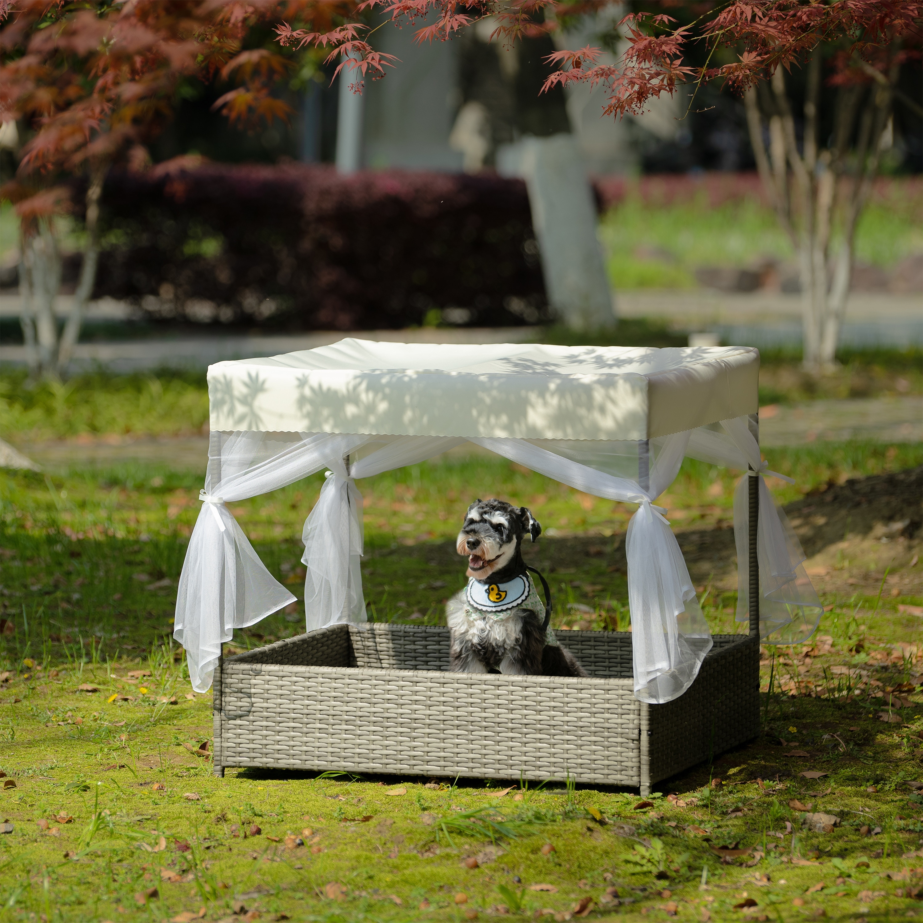 Small dog cots on sale