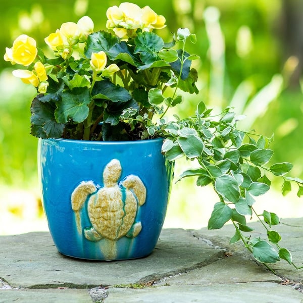Grotto Sea Turtle Round Planter