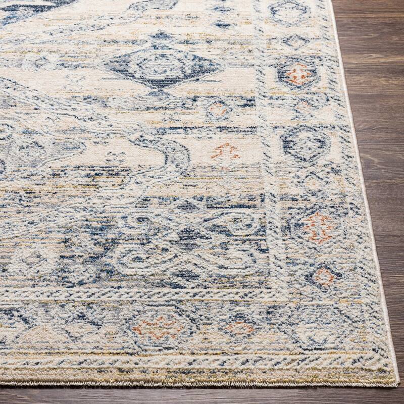 Livabliss Kambiz Vintage Traditional Area Rug