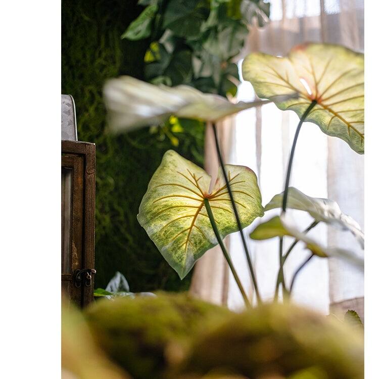 RusticReach Faux Rooted Bunch Alocasia 19" Tall
