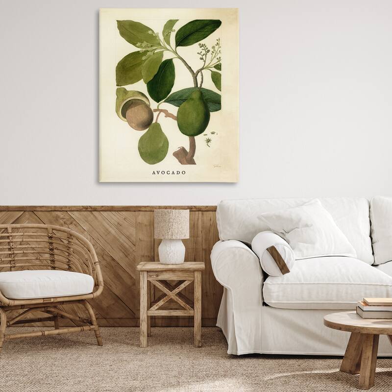 Stupell Vintage Avocado Plant Canvas Wall Art Design By Lil' Rue