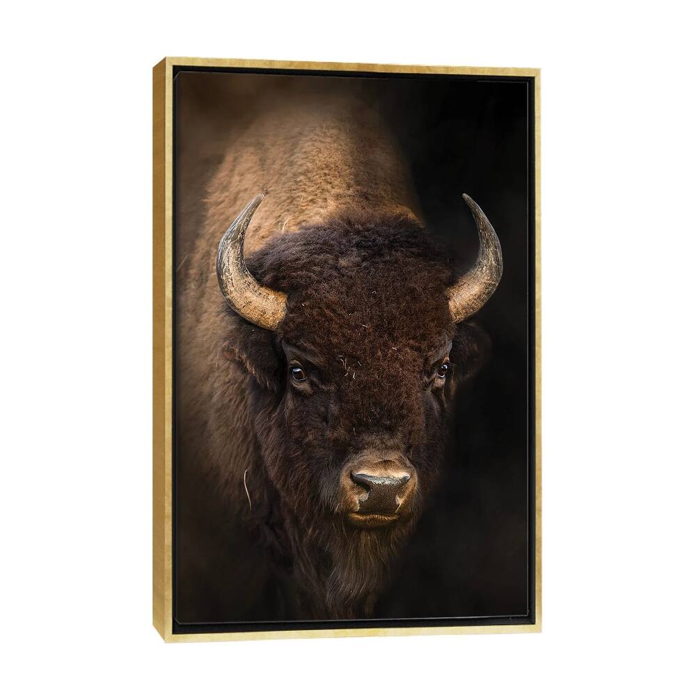 iCanvas "Bison In Light" by Patsy Weingart Framed Canvas Print