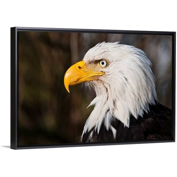 Shop Wild Bald Eagle Staring Multi Color Free Shipping