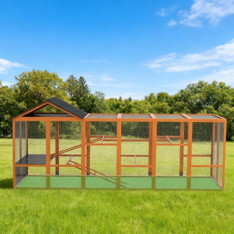Wooden Chicken Coop for 6-10 Chickens