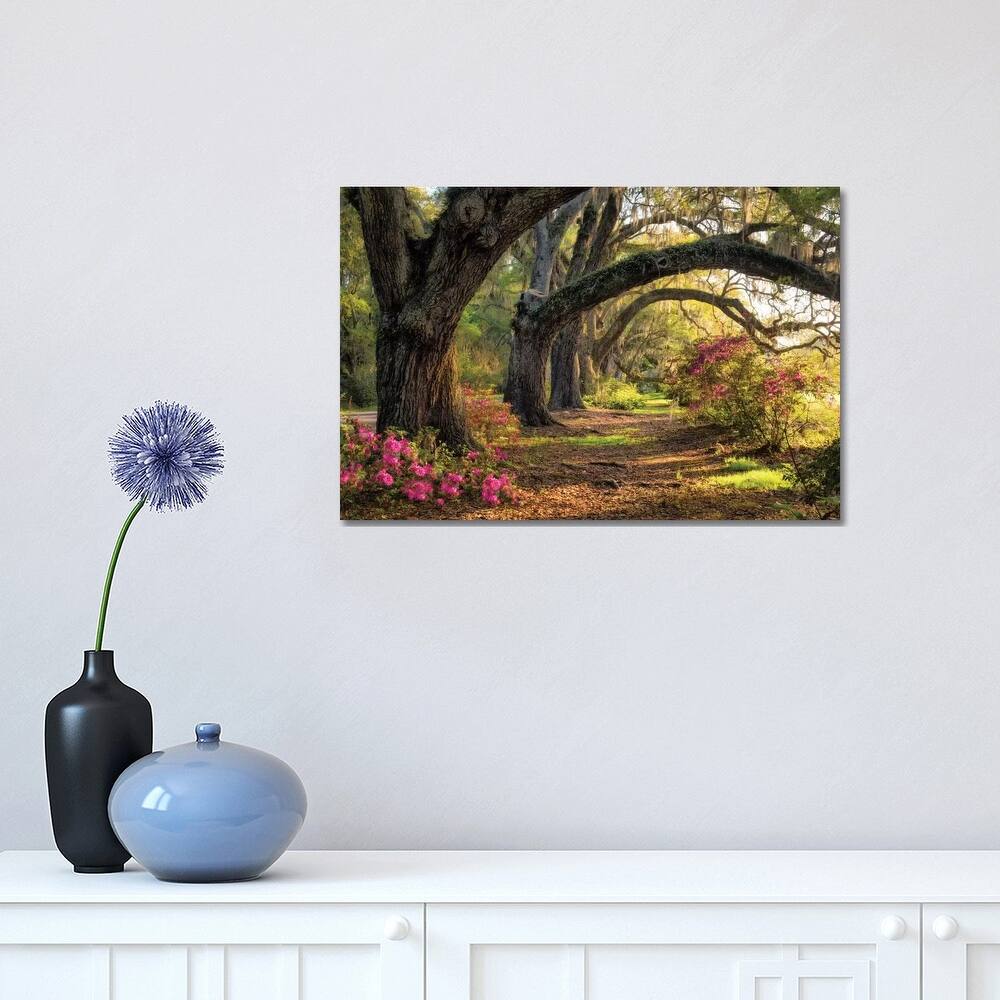 iCanvas "Under The Live Oaks I" by Danny Head Canvas Print