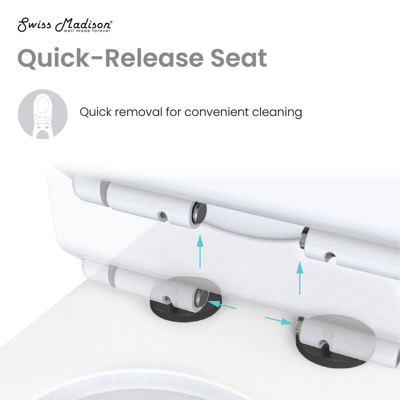 Bastille One Piece Square Toilet Dual Flush, Black Hardware 1.1/1.6 Gpf - 26.05" x 14" 29.25"