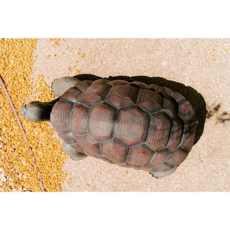 XBrand Brown and Black Concrete/MgO Walking Turtle Statue, Indoor or Outdoor Décor, Garden Décor, Turtle Statuary