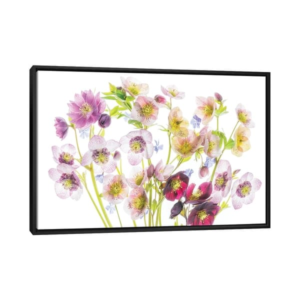 slide 2 of 12, iCanvas "Floral Display" by Dennis Frates Framed Black - 26x40