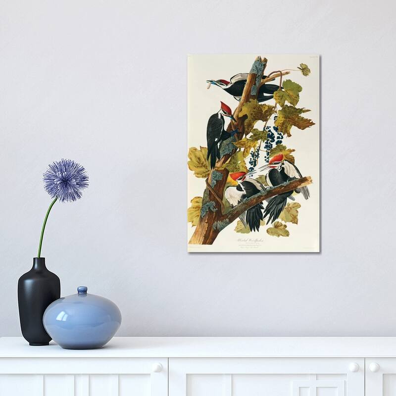 iCanvas "Pileated Woodpecker (Plate 111, Birds Of America)" by John James Audubon Canvas Print - 18x12x1.5