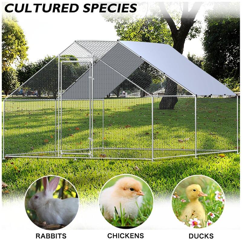 Metal Chicken Coop Walk-in Poultry Cage with Waterproof