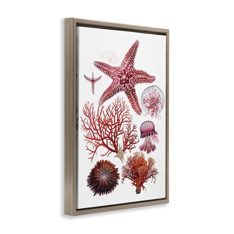 Stupell Rosy Undersea Creatures Framed Floater Canvas Wall Art Design By Ramona Murdock