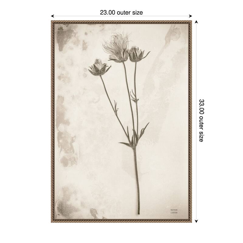 Wildflower Journal Vintage No. 8 by Nathan Larson Framed Canvas Wall Art Print - 23 x 33 in