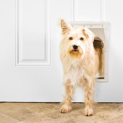 White Plastic Pet Door for Medium-Sized Dogs - Up to 40 Pounds