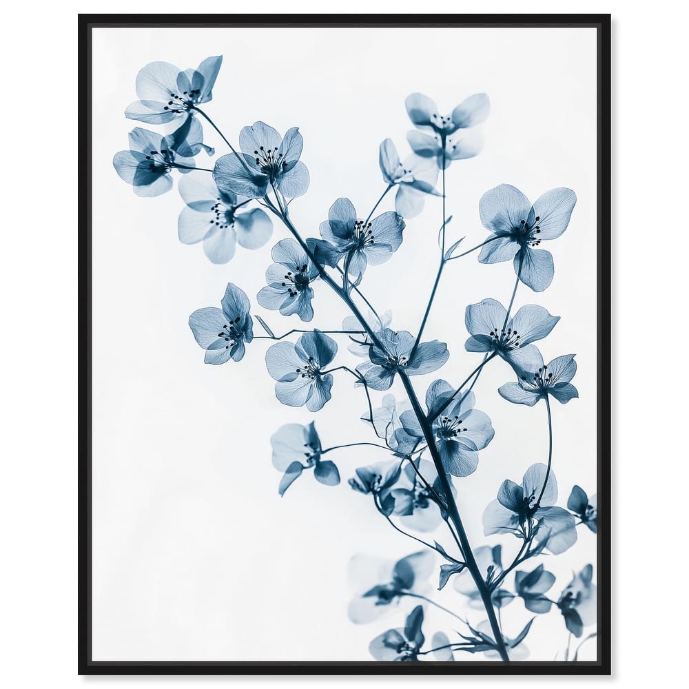 Translucent Petals II Canvas by Art Remedy