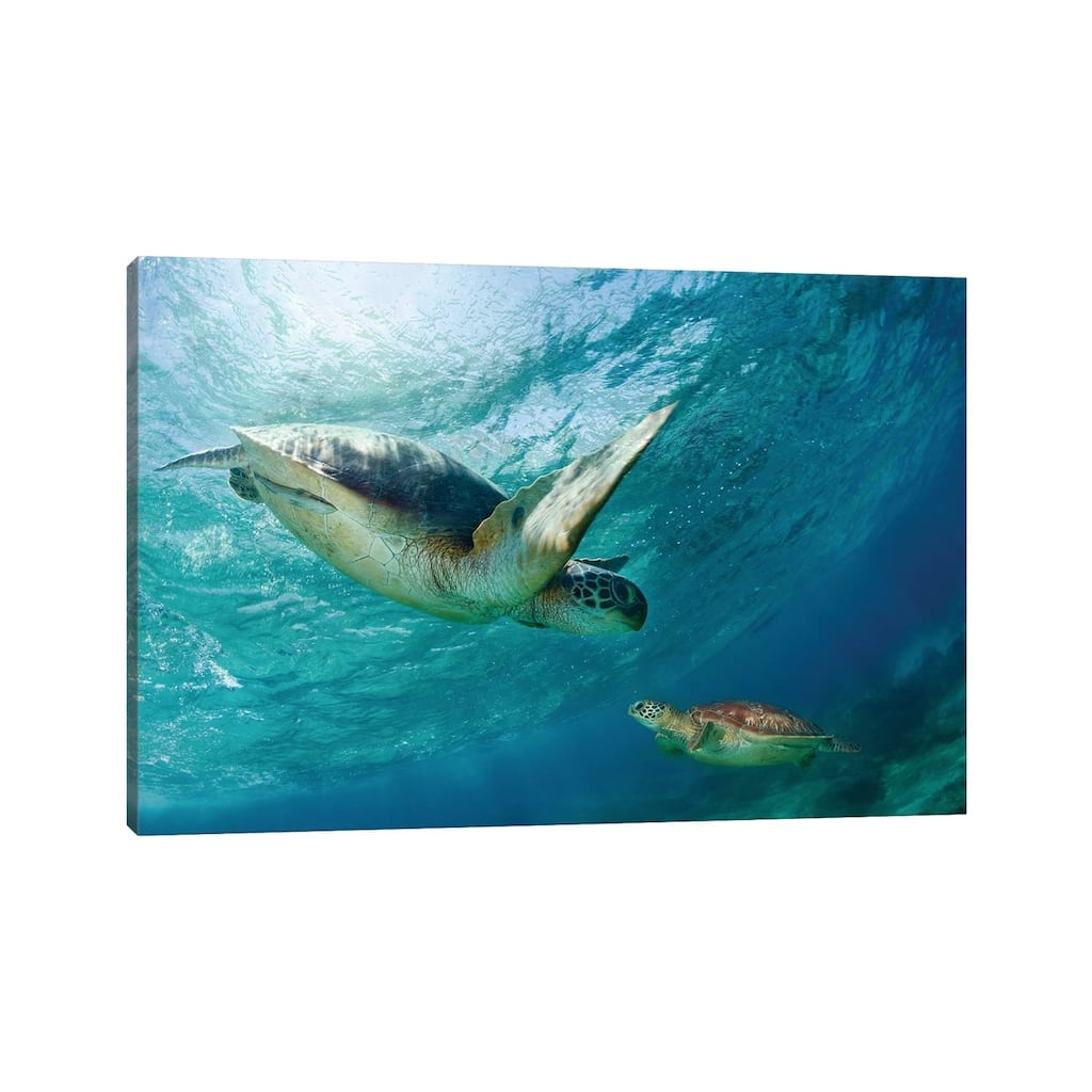 iCanvas "Contact" by Andrey Narchuk Canvas Print