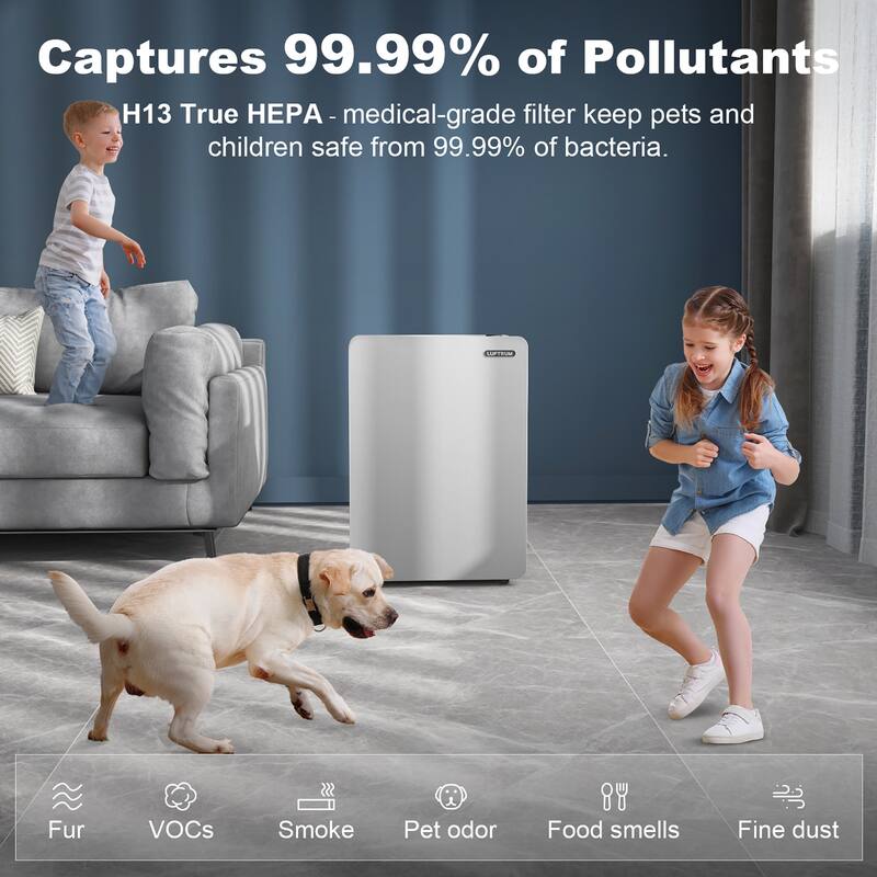 LUFTRUM Air Purifier for Large Room Up to 4646 Sq.Ft Air Filter for Allergies Pets Asthma Smoke Air Cleaner