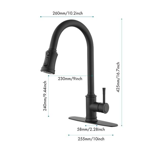 Xela Pull Out Single Handle Kitchen Faucet With Accessories - Bed Bath ...