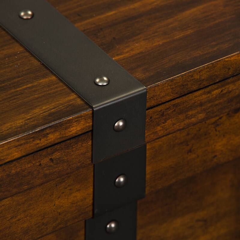 Aspen Skies Russet Brown and Metal Accents Storage Trunk