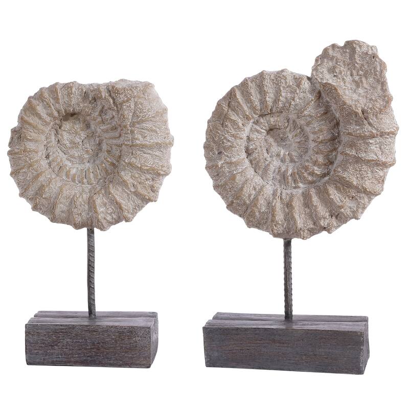 SAFAVIEH Jalldeze Nautical Ammonite Shell Table Decor (Set of 2) - 3.2" W x 7.5" L x 11.8" H - 3Wx7Dx7H