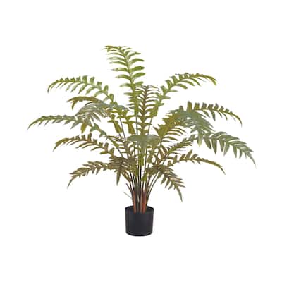 Fern Plant - Green