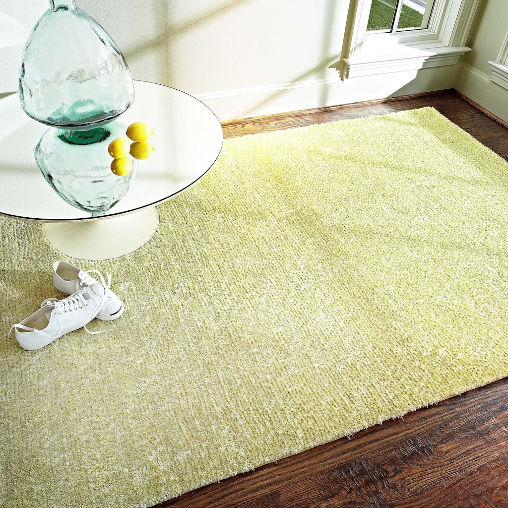 Alexander Home Elle Soft Plush Shag Area Rug