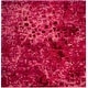 preview thumbnail 90 of 106, SAFAVIEH Monaco Shiloh Boho Abstract Modern Watercolor Area Rug 6'7" Square - Fuchsia - Square
