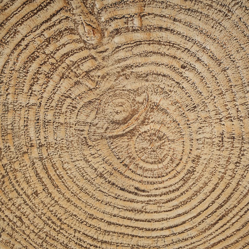 Christopher Knight Home - Terra Rustic Tree-Stump Lightweight Concrete Side Table in Natural Wood Grain - 17"W x 17"D x 14.6"H