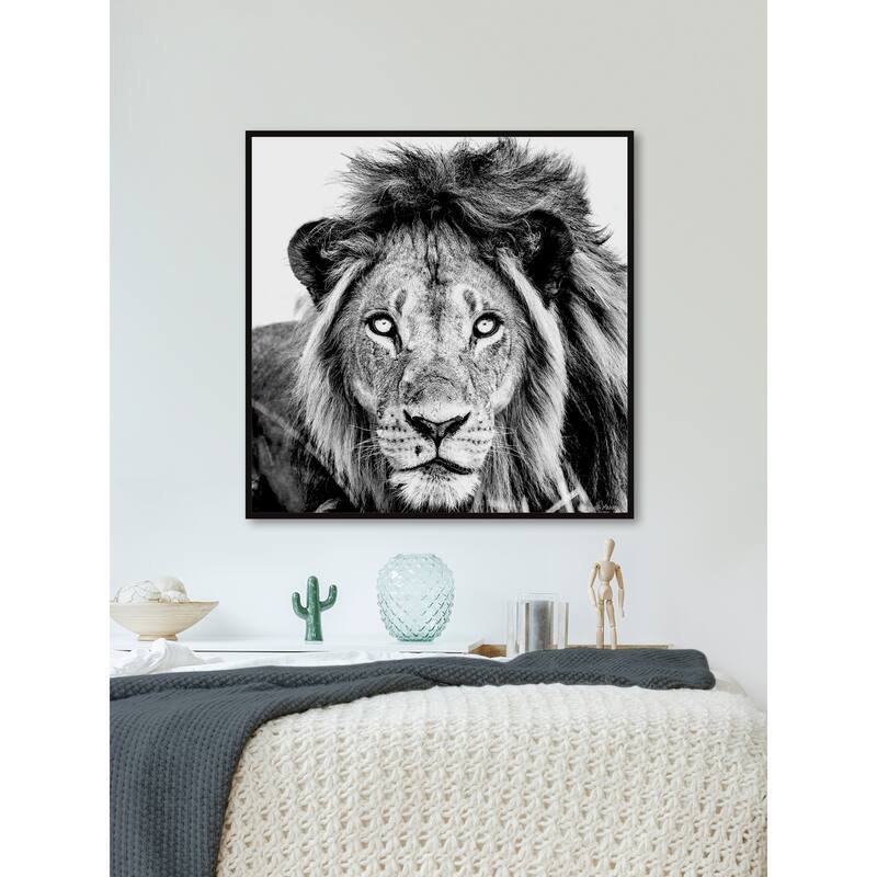 Mighty Lion Floater Framed Print on Canvas