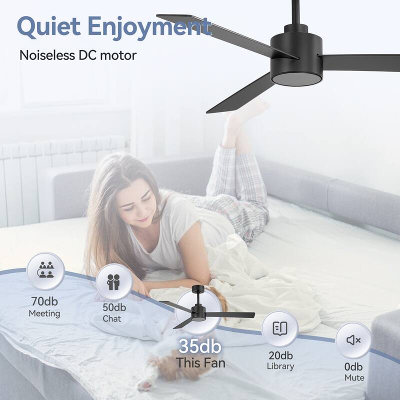 52-inches 3-Blade Ceiling Fan With Remote Downrod