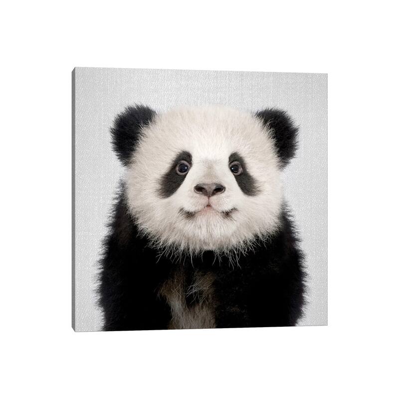 iCanvas "Panda Bear" by Gal Design Canvas Print