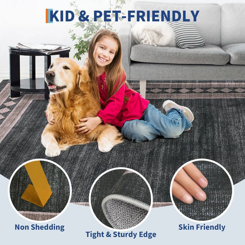Modern Bordered Rug Non Slip Low Pile Area Rugs for Living Room, Machine Washable Area Rugs Soft Throw Rugs