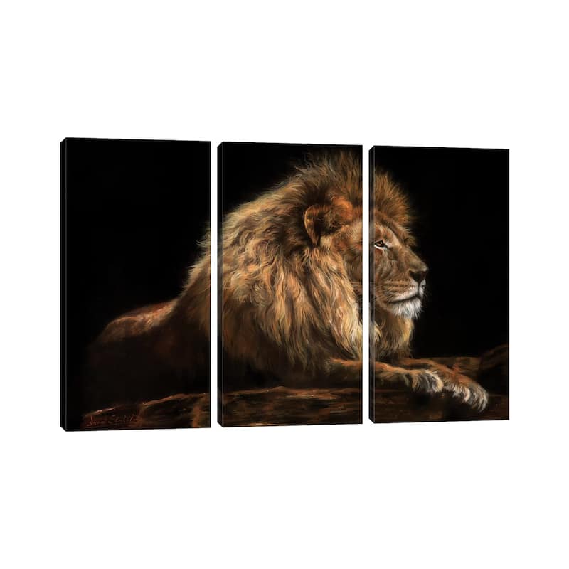 iCanvas "Golden Lion" by David Stribbling 3-Piece Canvas Wall Art Set