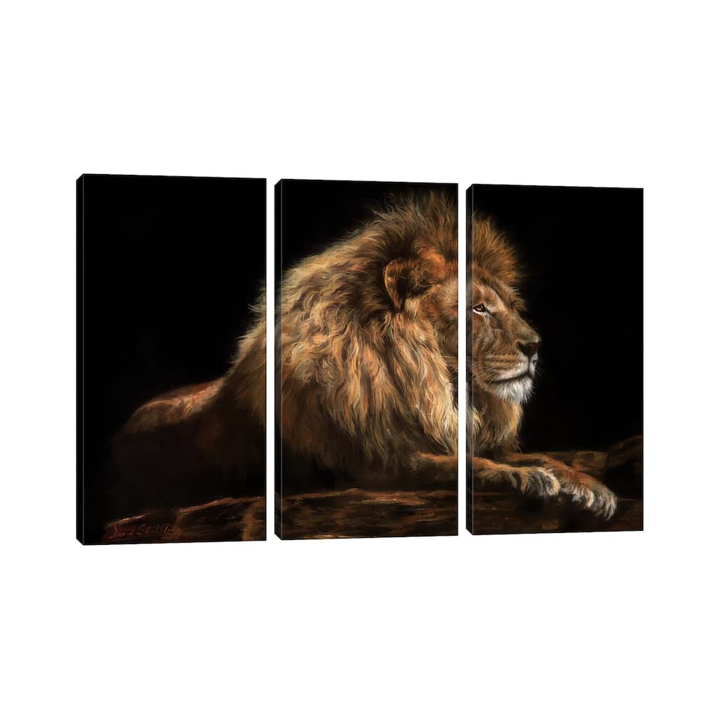 iCanvas "Golden Lion" by David Stribbling 3-Piece Canvas Wall Art Set