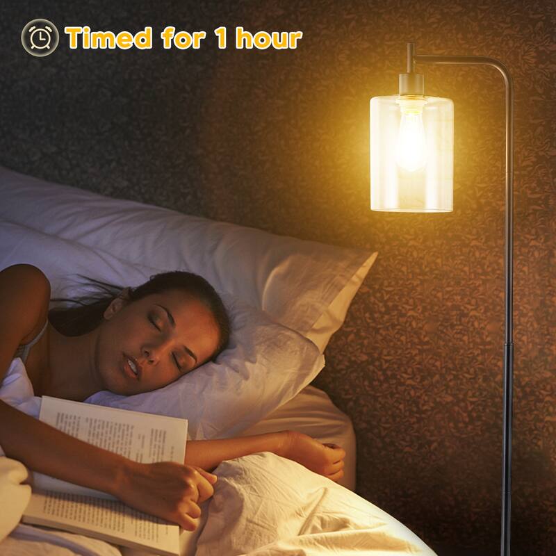 Industrial Floor Lamp, Dimmable Modern Standing Lamp with Clear Glass Shade - Black