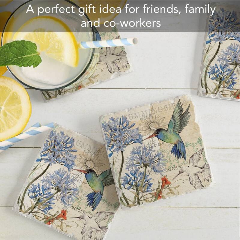 Hummingbird Study 4-Pack Absorbent Stone Coasters with Protective Cork Backing 4" Square Made in The USA Easily Wipes Clean