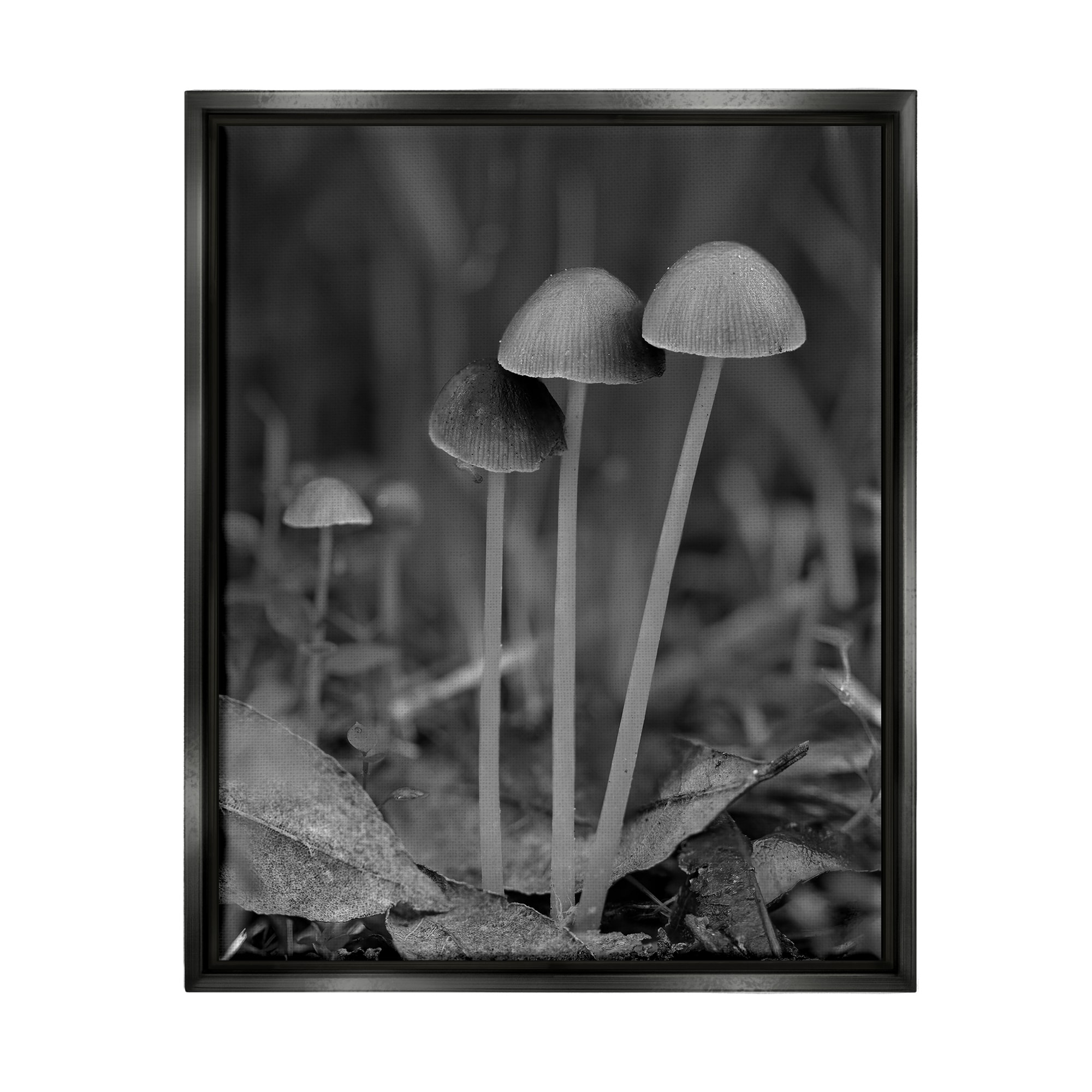Stupell Forest Mushroom Photography Framed Floater Canvas Wall Art Design by Lil' Rue