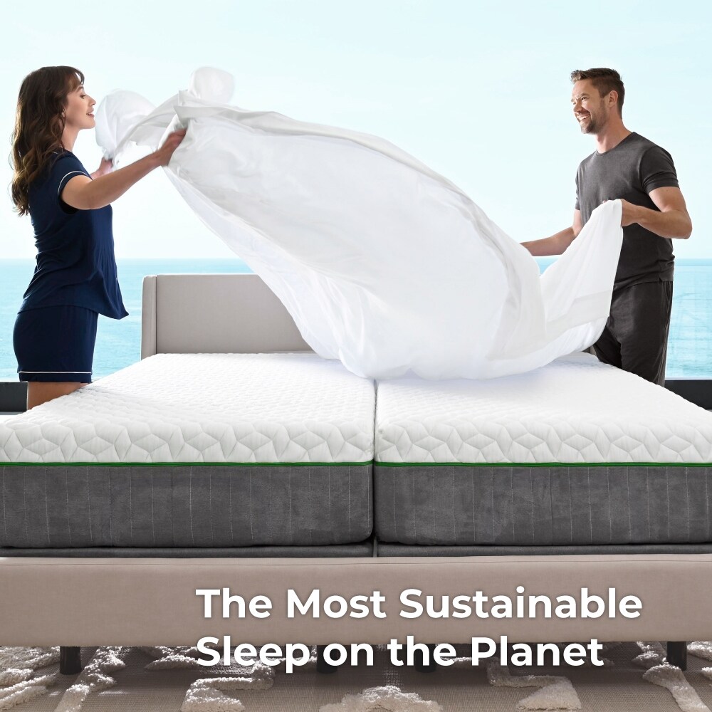 Bed bath and beyond cariloha new arrivals