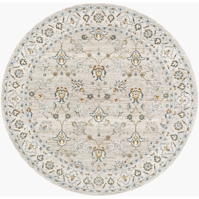 Livabliss Dresden Transitional Area Rug