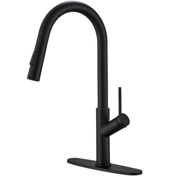 CREA Single Handle Cold Water Kitchen Sink Faucet – Black, 360° Swivel Goose Neck, Stainless Steel, For Outdoor, Garden, Bar, Or Boat