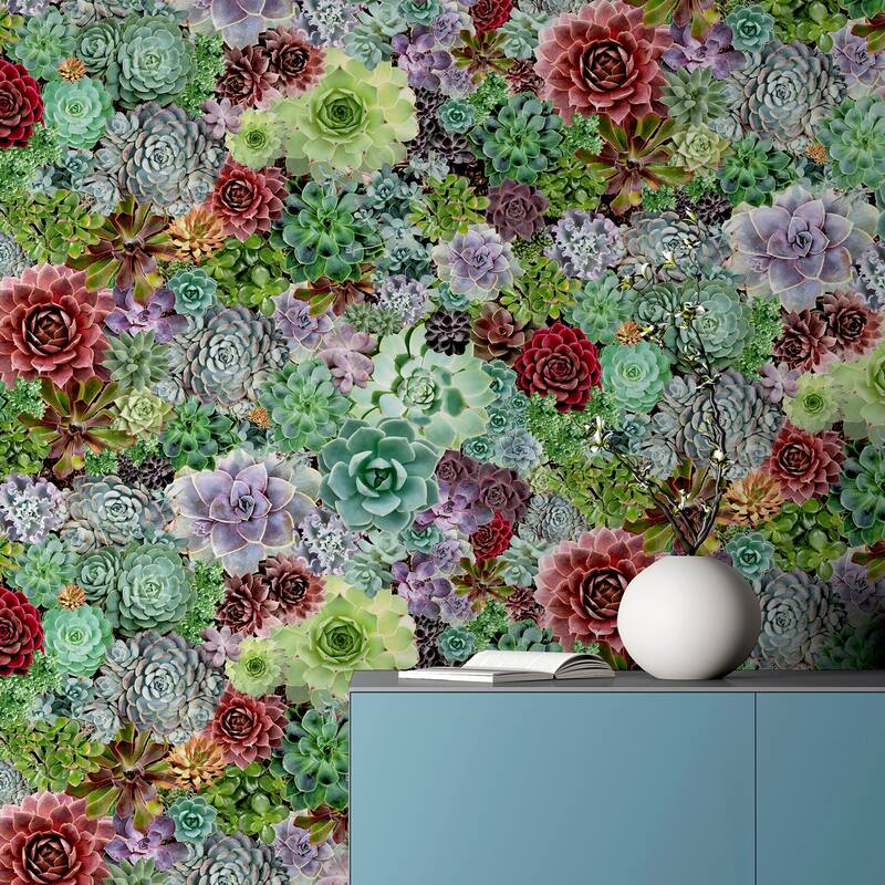 Arthouse Rhea Multicolor Succulents Wallpaper