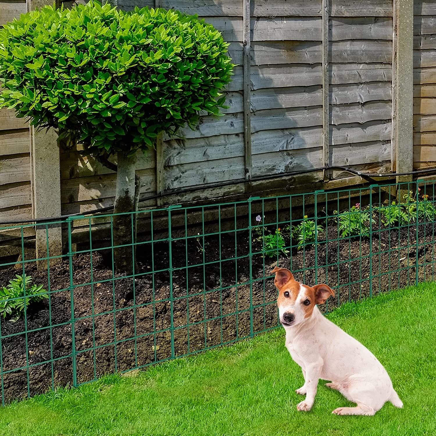 Decorative Garden Fence for Dog Pet 10PCS Green