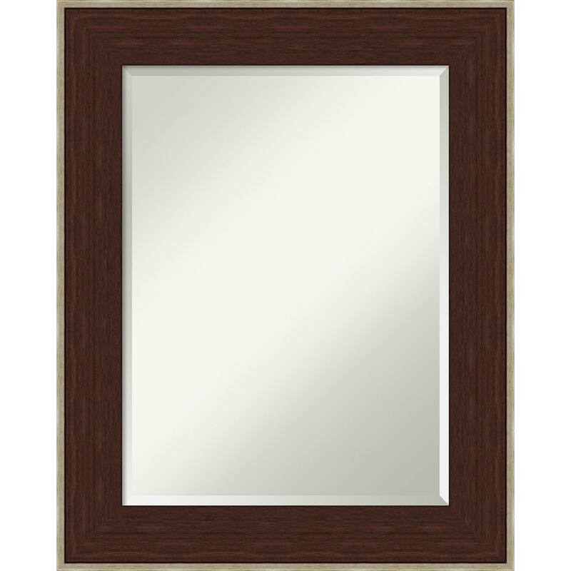 Beveled Bathroom Wall Mirror - William Frame