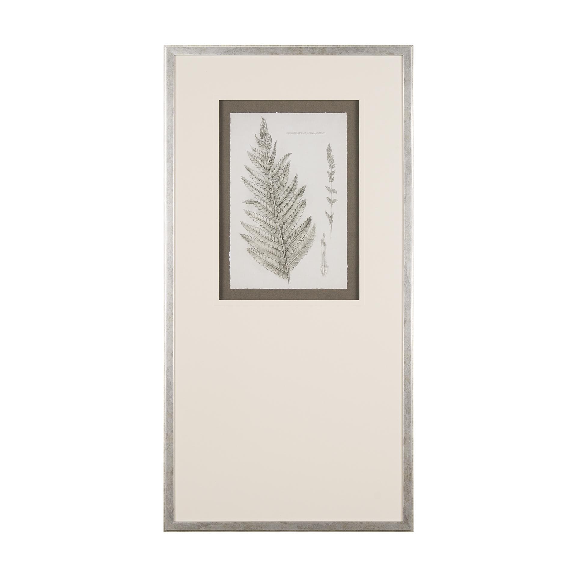 Fern Study I by Mercana Studio Hand Embelished Framed Art Print Matted under Glass