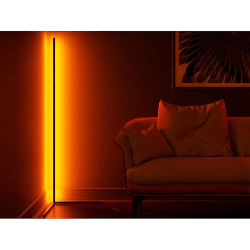 Colorful Floor Lamp-RGB Color Changing Mood Lighting for Party