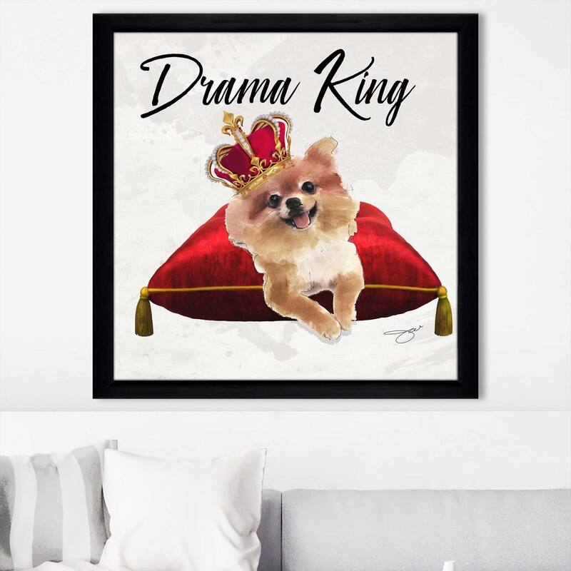 "Drama King Pomeranian" by Jodi Print on Acrylic